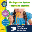 Circulatory, Digestive & Reproductive Systems: The Digestive System – Mouth to Stomach - Google Slides