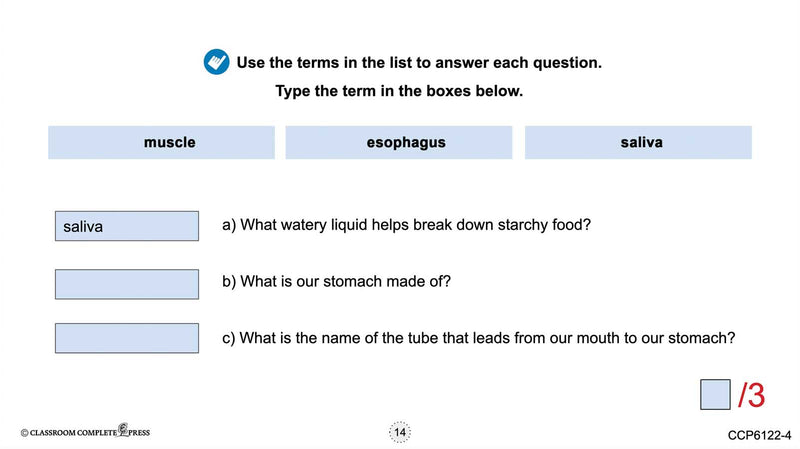 Circulatory, Digestive & Reproductive Systems: The Digestive System – Mouth to Stomach - Google Slides