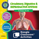 Circulatory, Digestive & Reproductive Systems