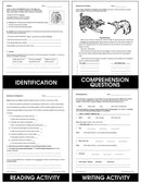 Figurative Language
