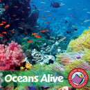 Oceans Alive