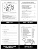 Cells: The Building Blocks of Life