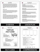 Animal Life Cycles