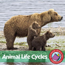 Animal Life Cycles