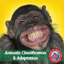 Animals: Classification & Adaptation