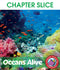Oceans Alive - CHAPTER SLICE