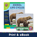 Animal Life Cycles