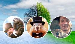 Predicting the Weather on Groundhog Day
