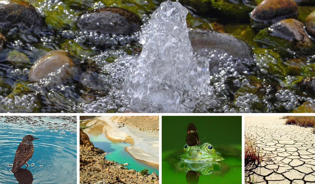 Bringing Fresh Water to the Surface for World Water Day – CLASSROOM ...