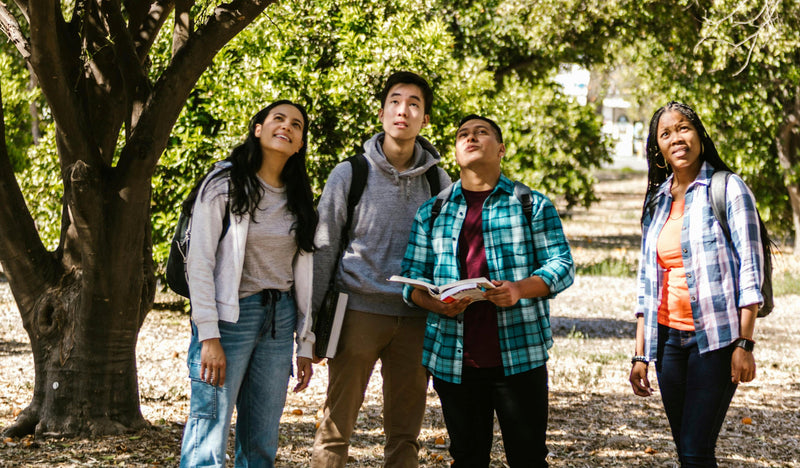 Designing Your Own Park for Geography Awareness Week