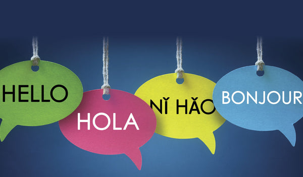 Strategies for a Bilingual Classroom