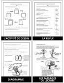 Les Plantes (French Version)