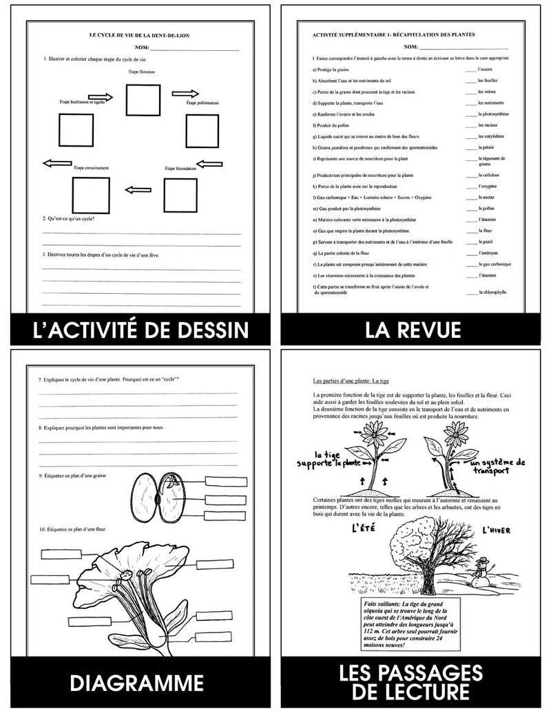 Les Plantes (French Version)