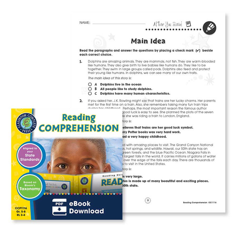 Reading Comprehension: Main Idea Identification - WORKSHEET – CLASSROOM ...