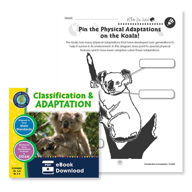 Classification & Adaptation: Pin the Physical Adaptations on the Koala - WORKSHEET