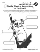Classification & Adaptation: Pin the Physical Adaptations on the Koala - WORKSHEET