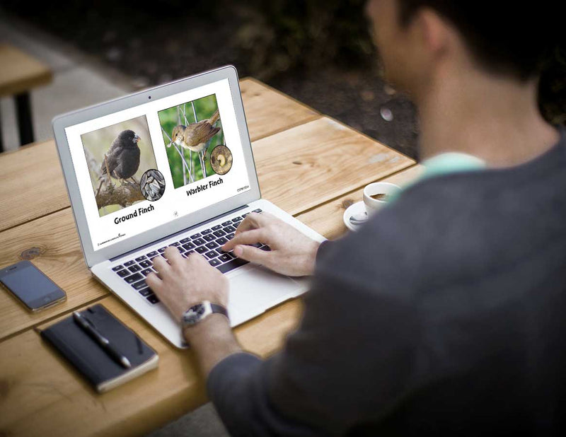 Hands-On STEAM - Life Science: Adaptations - Google Slides