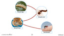 Hands-On STEAM - Life Science: Life Cycle - Google Slides