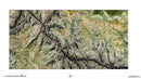 Mapping Skills with Google Earth Gr. 3-5: Mapping Geographical Features - Google Slides