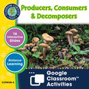 Ecosystems: Producers, Consumers & Decomposers - Google Slides