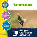 Ecosystems: Photosynthesis - Google Slides