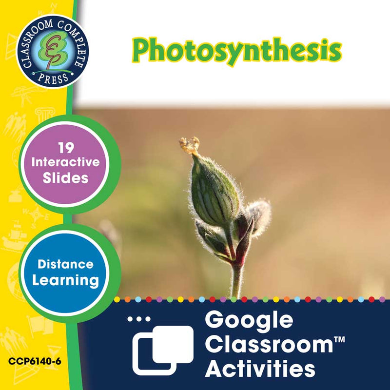 Ecosystems: Photosynthesis - Google Slides