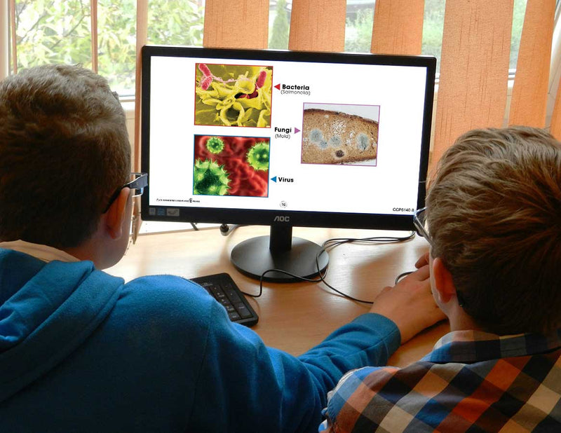 Ecosystems: Microorganisms - Google Slides