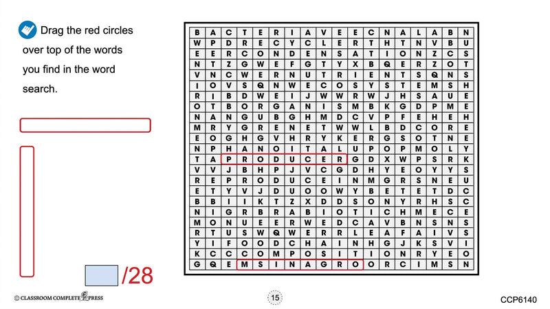 Ecosystems - Google Slides BUNDLE
