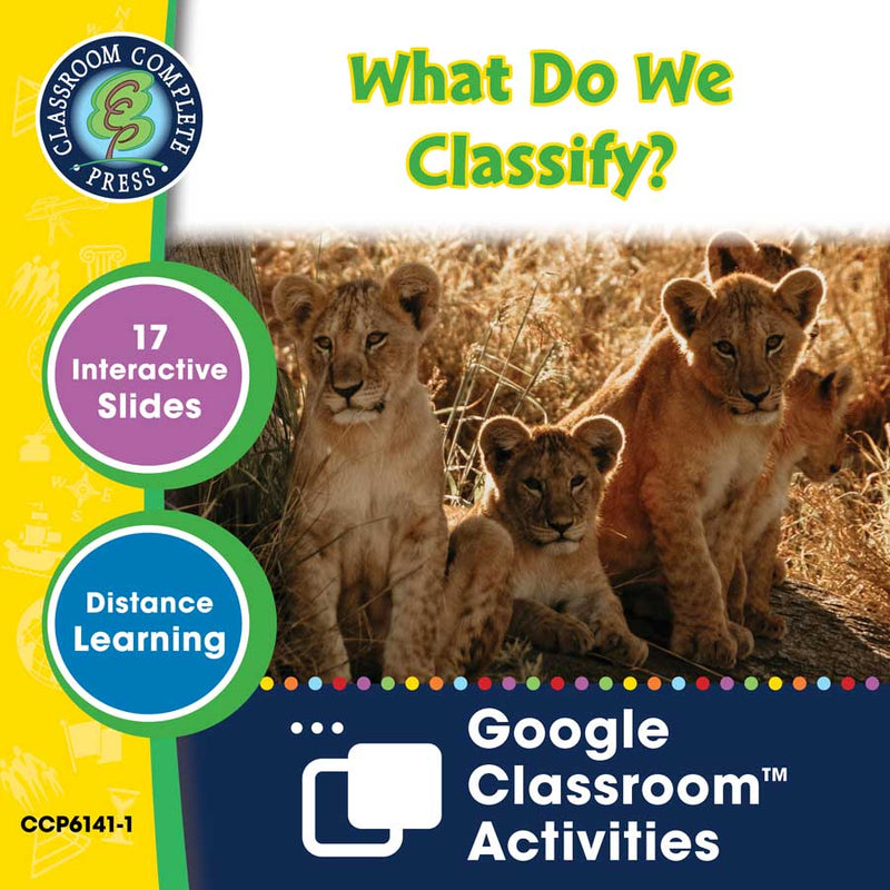 Classification & Adaptation: What Do We Classify? - Google Slides
