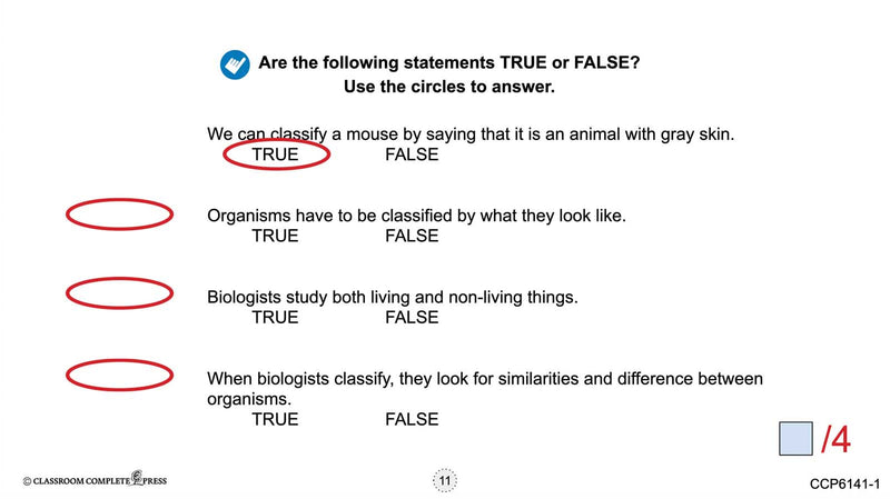 Classification & Adaptation: What Do We Classify? - Google Slides