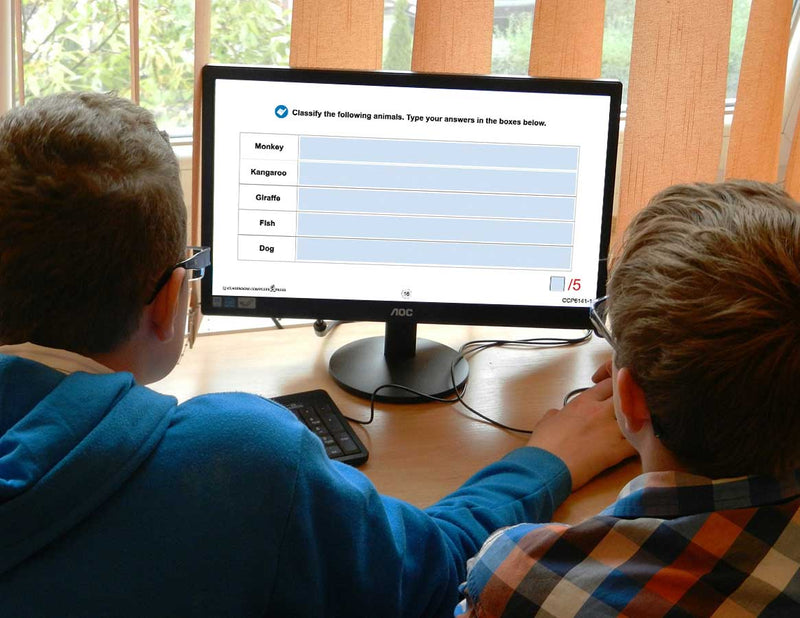 Classification & Adaptation: What Do We Classify? - Google Slides