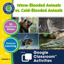 Classification & Adaptation: Warm-Blooded Animals vs. Cold-Blooded Animals - Google Slides