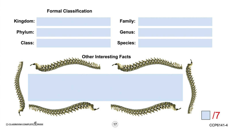 Classification & Adaptation: Vertebrates - Google Slides