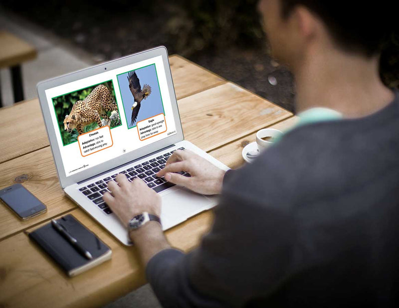 Classification & Adaptation: Animal Adaptations - Google Slides