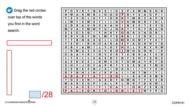 Classification & Adaptation - Google Slides BUNDLE