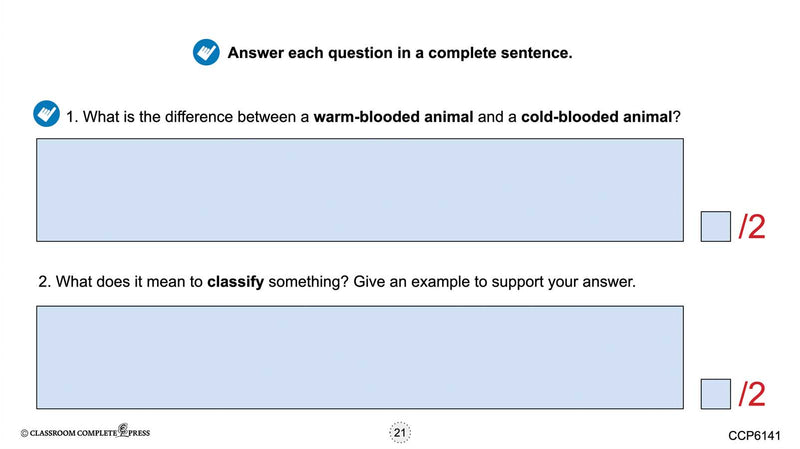 Classification & Adaptation - Google Slides BUNDLE