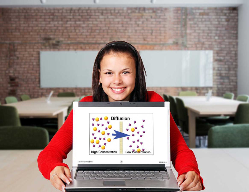 Cells: Diffusion and Osmosis - Google Slides