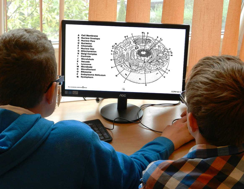 Ecology & The Environment BUNDLE - Google Slides
