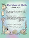 THE MAGIC OF SHELLS