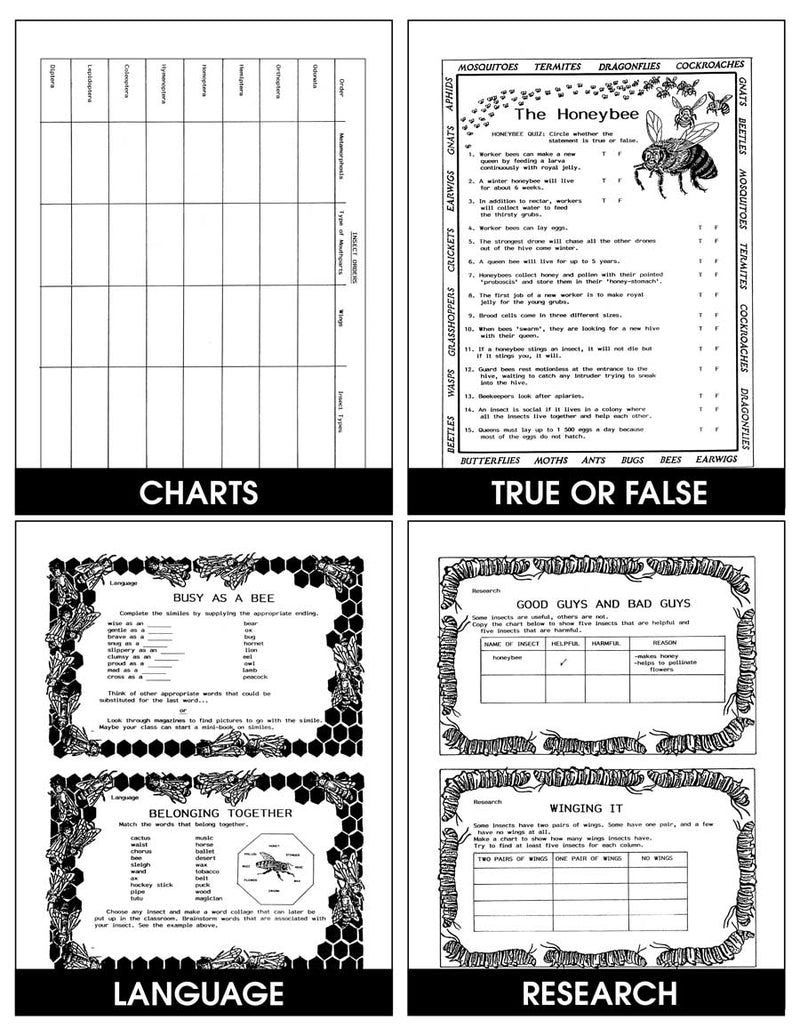 INVESTIGATING INSECTS