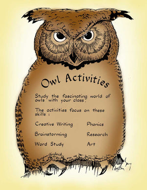 OWL ACTIVITIES