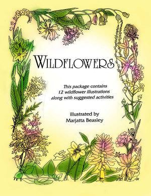 WILDFLOWERS PICTURE COLLECTION