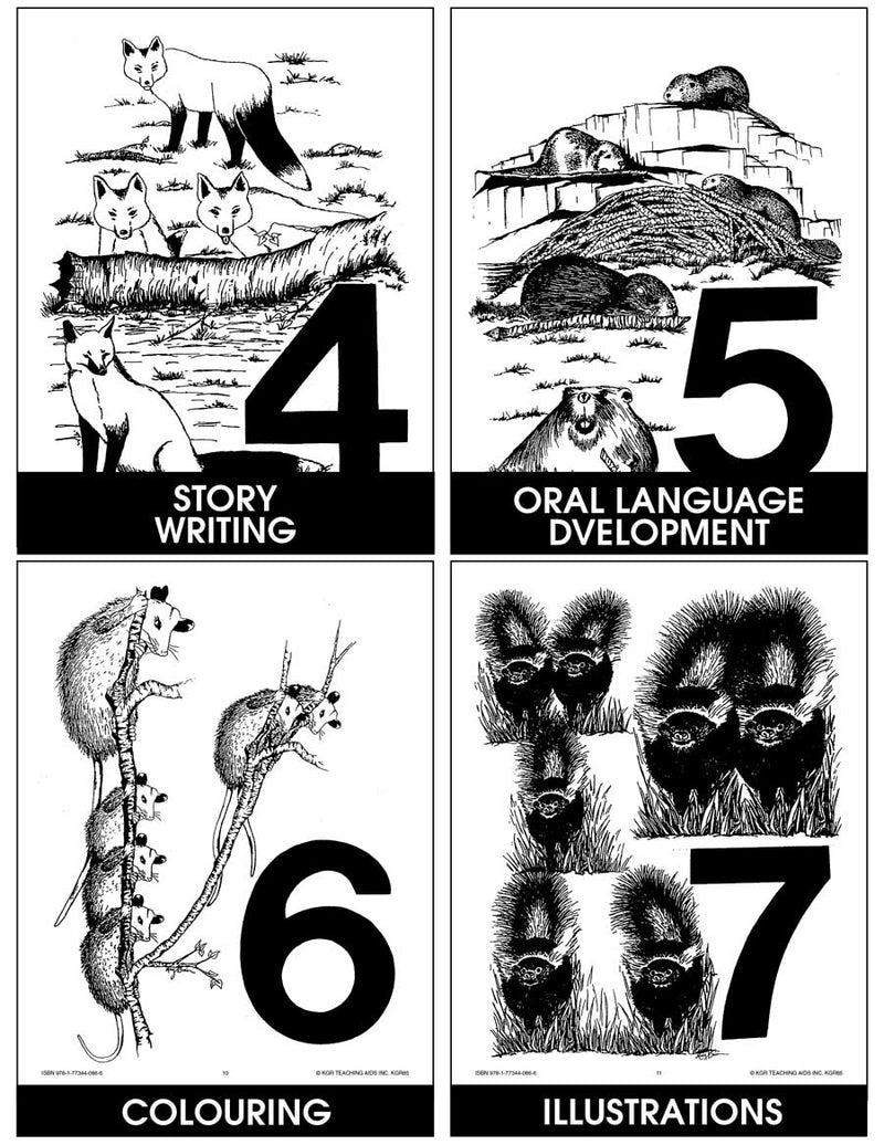 NUMBER CONCEPT CARDS 1-10 (ANIMAL PICTURES)
