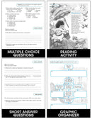 Graphic Organizers Simplified A - Reading, Writing & Thinking Skills