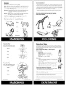 Simple and Fun Science A - Science Simplified