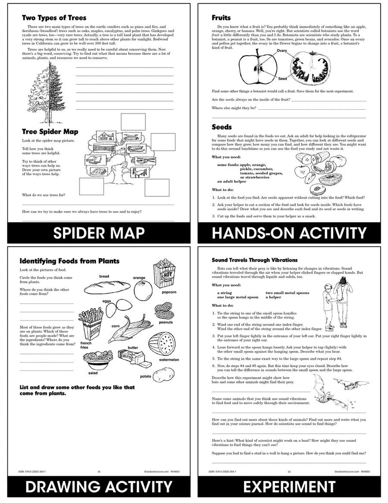 Simple and Fun Science D - Science Simplified