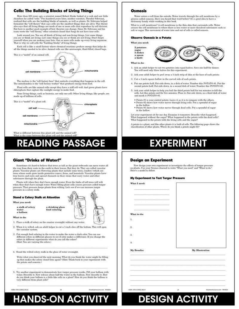 Simple and Fun Science E - Science Simplified