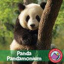 Panda Pandamonium