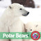 Polar Bears