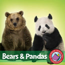 Bears and Pandas